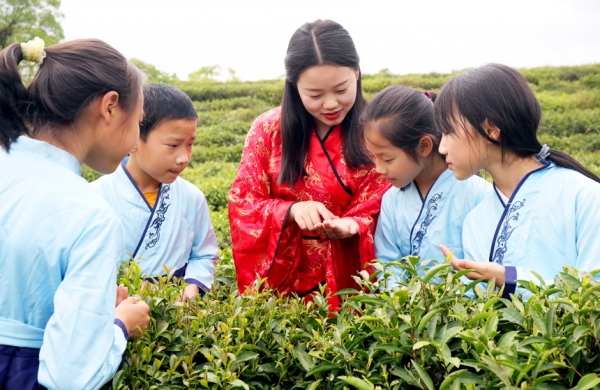 江西宜丰：茶艺文化促“双减”